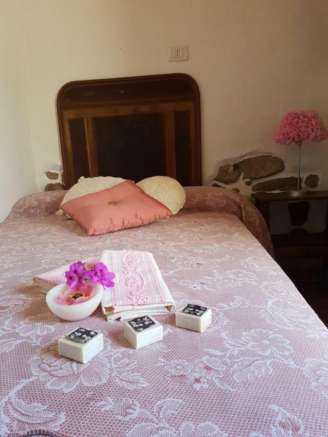 Stazzu Juanni Villa Loiri Porto San Paolo ภายนอก รูปภาพ